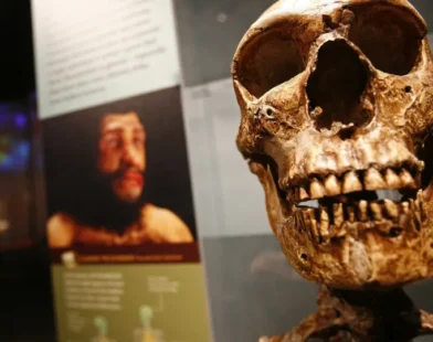Homo sapiens 'treinou' capacidades de colonizador antes de se tornar espécie global