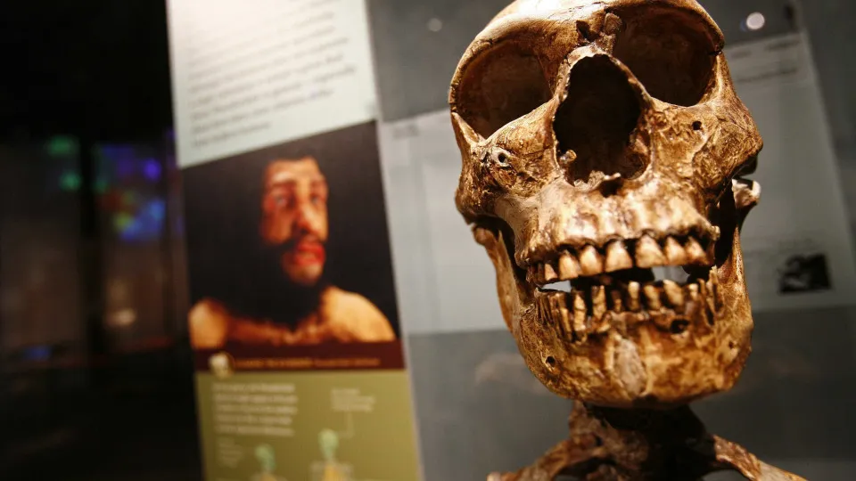 Homo sapiens 'treinou' capacidades de colonizador antes de se tornar espécie global