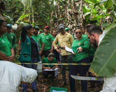 Idaf promove simulado de combate à praga da banana e fortalece medidas fitossanitárias no Acre