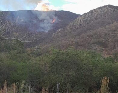 Incêndio consome quase 20 hectares no Parque Estadual Caminho dos Gerais em Monte Azul