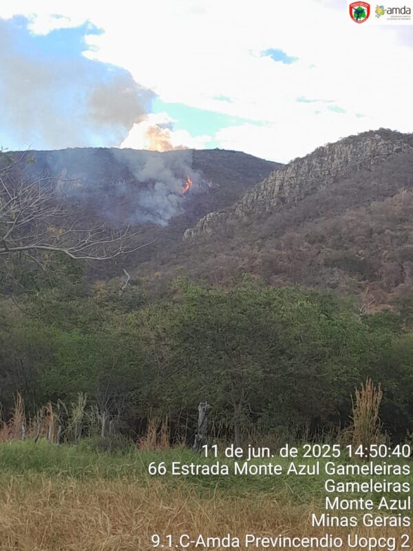 Incêndio consome quase 20 hectares no Parque Estadual Caminho dos Gerais em Monte Azul