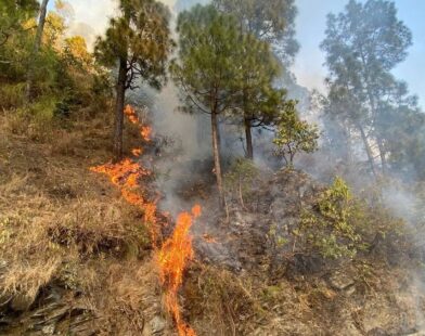 Incêndios florestais: Câmara reforça punições e amplia segurança jurídica para os produtores
