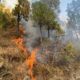 Incêndios florestais: Câmara reforça punições e amplia segurança jurídica para os produtores