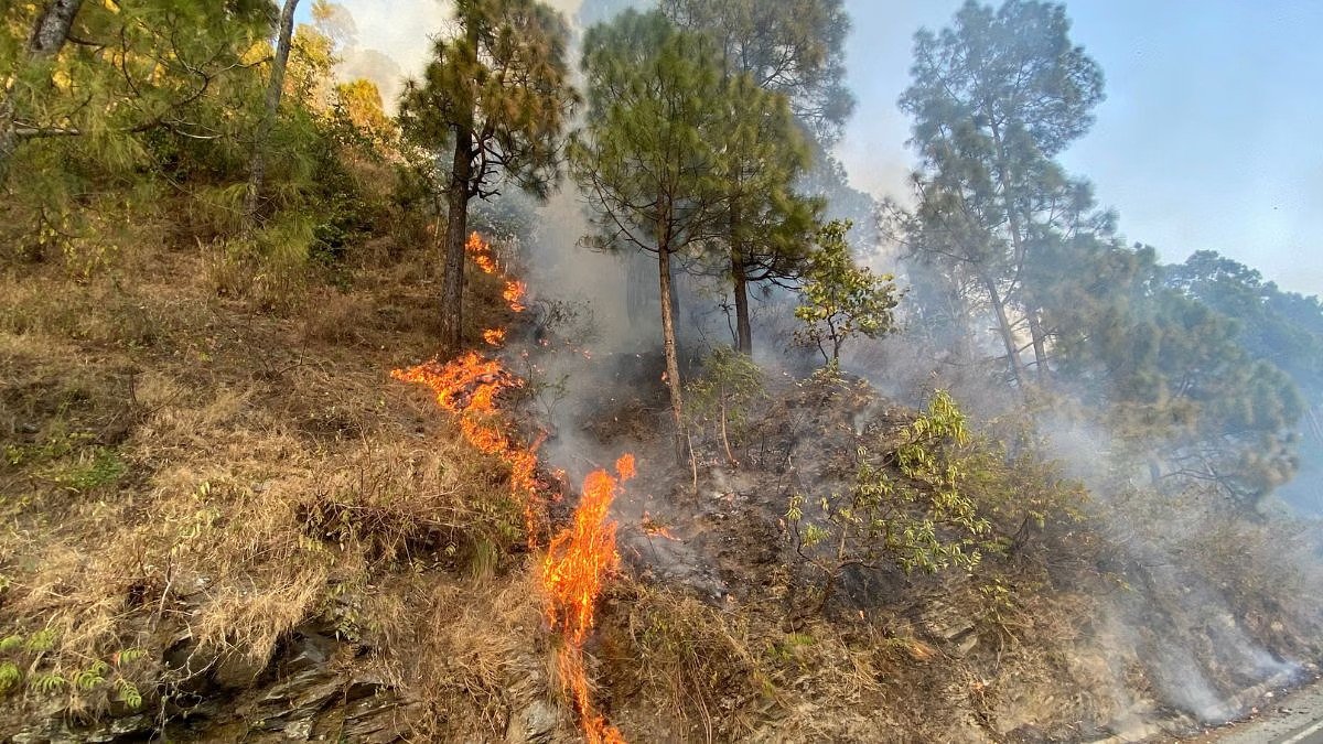 Incêndios florestais: Câmara reforça punições e amplia segurança jurídica para os produtores
