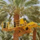 Israel está ressuscitando os desertos com a sua tecnologia no agro