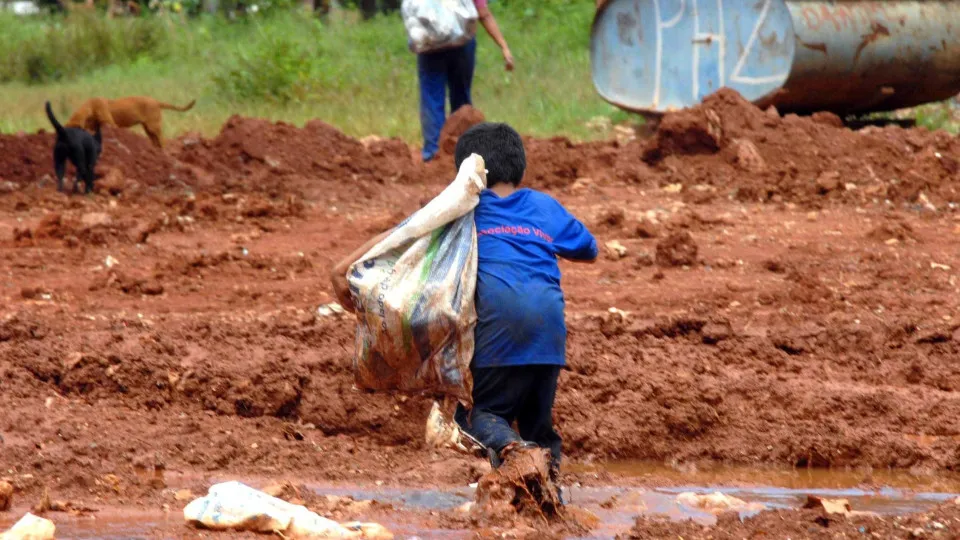 Mais de 6 mil crianças são resgatadas do trabalho infantil em 2 anos