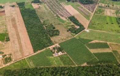 Mapa de Aptidão Agrícola do Brasil é atualizado e já está disponível
