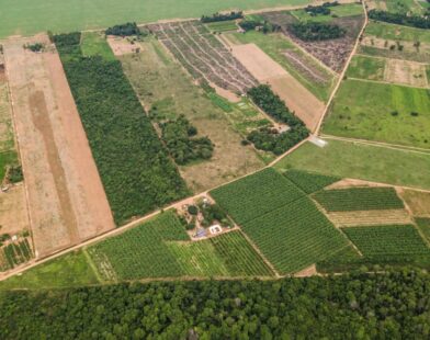 Mapa de Aptidão Agrícola do Brasil é atualizado e já está disponível
