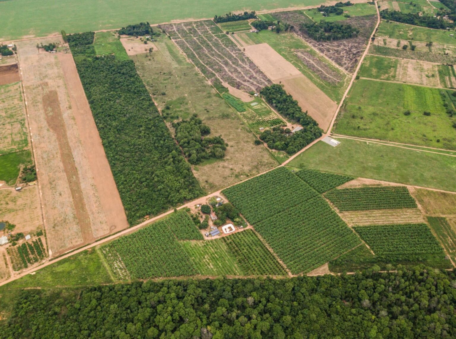 Mapa de Aptidão Agrícola do Brasil é atualizado e já está disponível