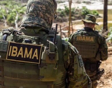 Nova regra do Ibama poderá tirar milhares de produtores do campo