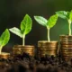 Política Agrícola e taxação no Agro: as consequências virão depois