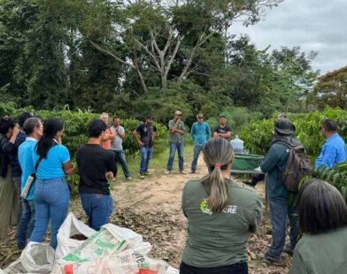 Produtores de Assis Brasil recebem treinamento sobre colheita e pós-colheita do café robusta amazônico