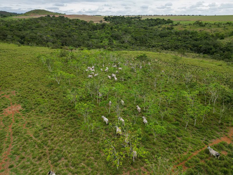 Produtores rurais já podem emitir CCIR 2025