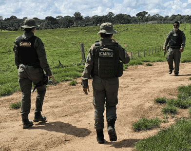 Quem alimenta o Brasil está virando inimigo