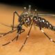 Segundo LIRAa aponta alto risco de infestação do Aedes aegypti em Montes Claros