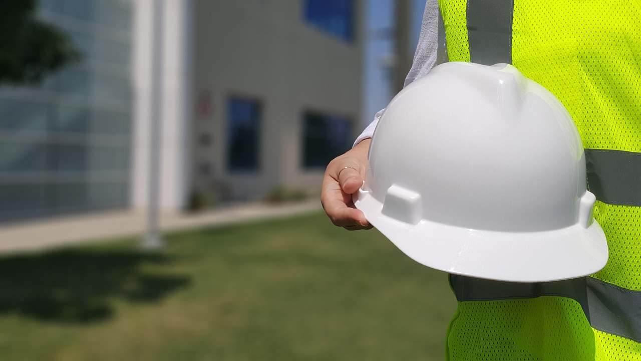 Sustentabilidade: o pilar econômico e a pecuária brasileira