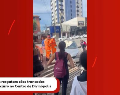 VÍDEO: Bombeiros resgatam cães trancados dentro de carro no Centro de Divinópolis | Centro-Oeste