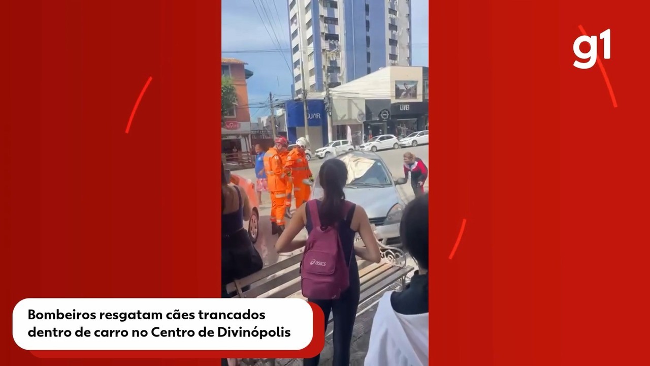 VÍDEO: Bombeiros resgatam cães trancados dentro de carro no Centro de Divinópolis | Centro-Oeste