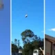 Video mostra queda de balao em SC ha pelo menos.webp 80x80