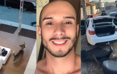 Você viu? Cachorro 'furta' ursinho de pelúcia em loja, morte de professor premeditada pelo ex-noivo e fuga com carro clonado termina em acidente | Centro-Oeste