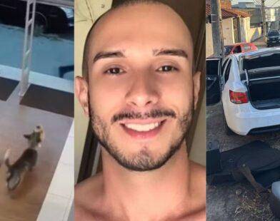 Você viu? Cachorro 'furta' ursinho de pelúcia em loja, morte de professor premeditada pelo ex-noivo e fuga com carro clonado termina em acidente | Centro-Oeste