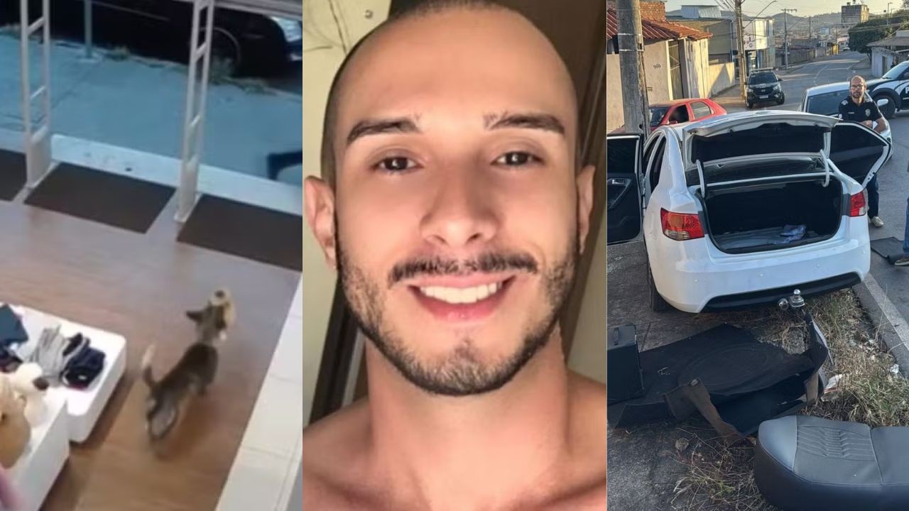 Você viu? Cachorro 'furta' ursinho de pelúcia em loja, morte de professor premeditada pelo ex-noivo e fuga com carro clonado termina em acidente | Centro-Oeste