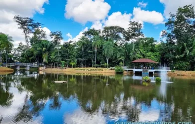 X Edição Da Ecoflores Acontece De 25 A 29 De Junho, No Horto Florestal
